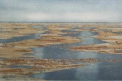 richter_295